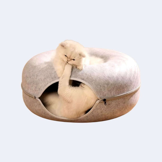 CatCave - Estoria